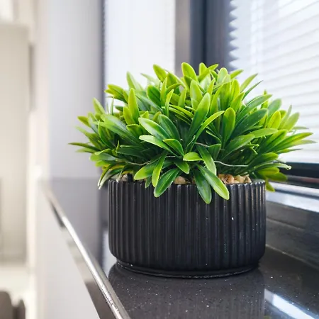 Heart Of Free Parking * Plovdiv